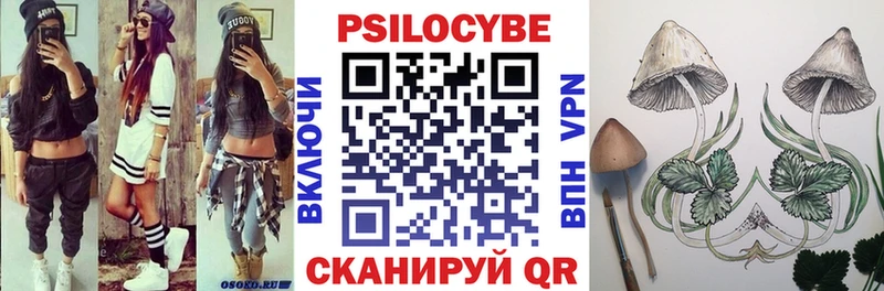 Псилоцибиновые грибы Psilocybine cubensis  Рубцовск 